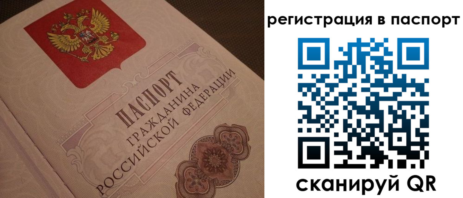 временная регистрация надежно в Гусеве